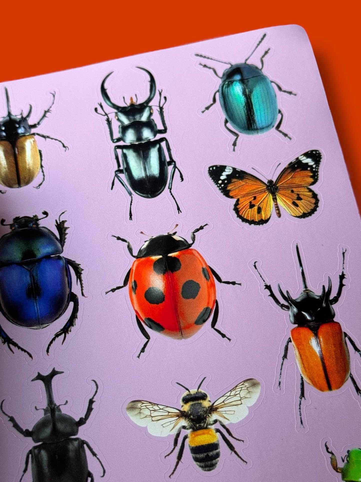 A6 Bugs Scrapbook Sticker Sheet
