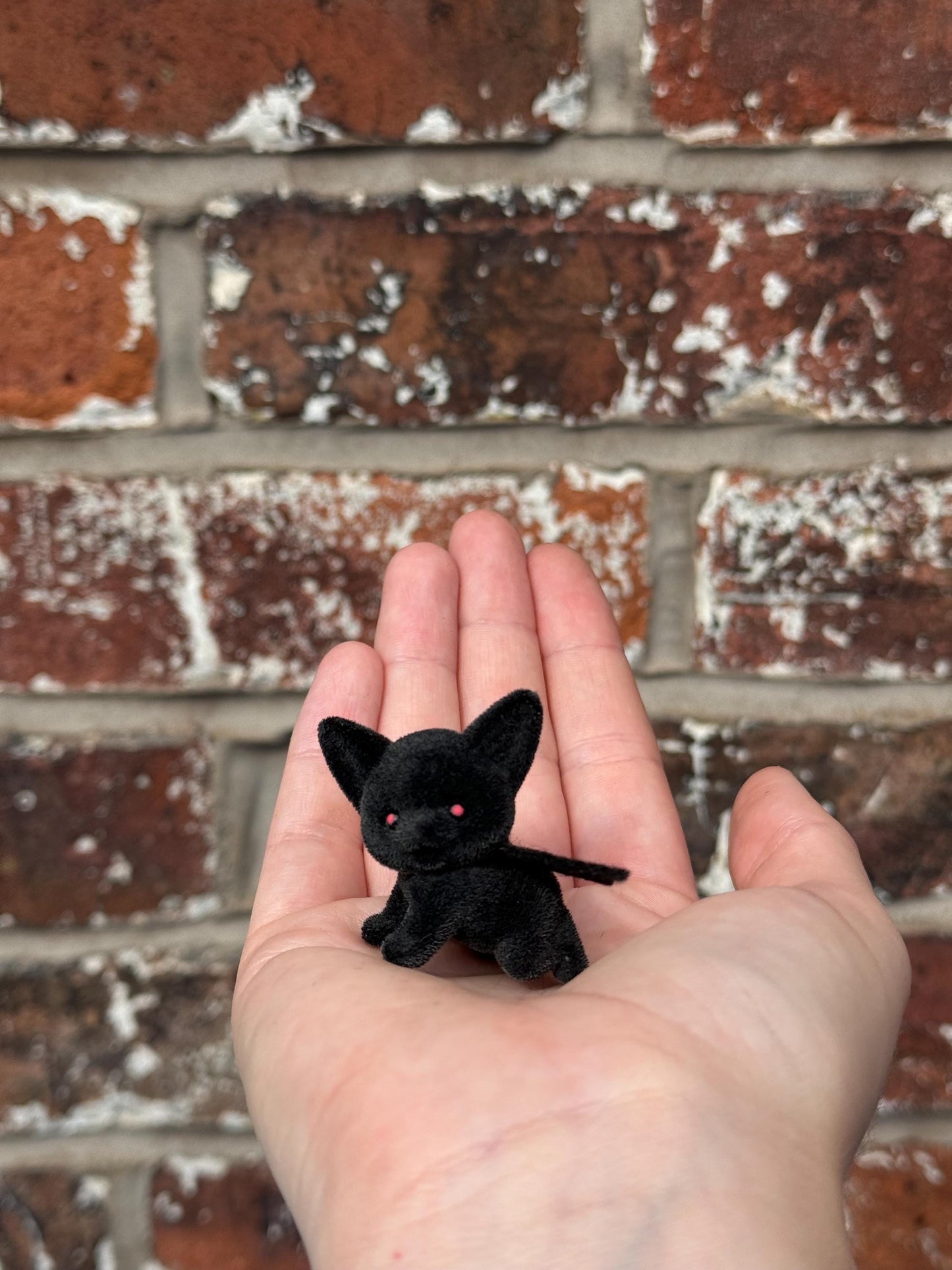 Custom Made Bat Critter