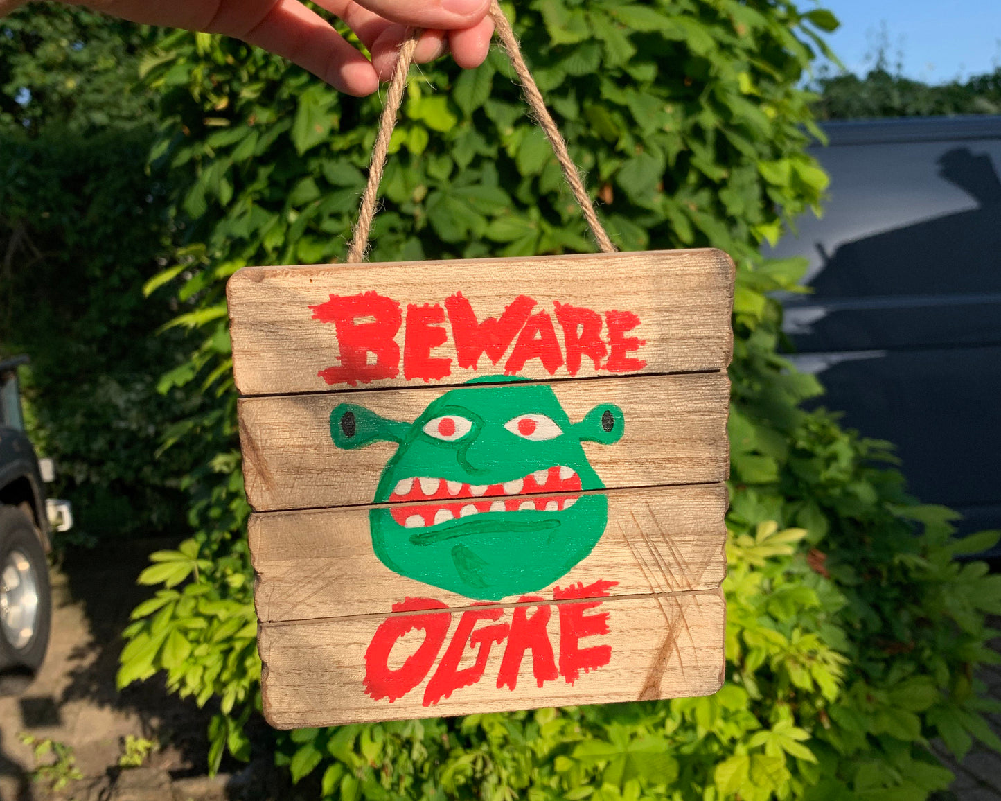 Shrek Beware Ogre painting on wooden plaque wall hanging handmade