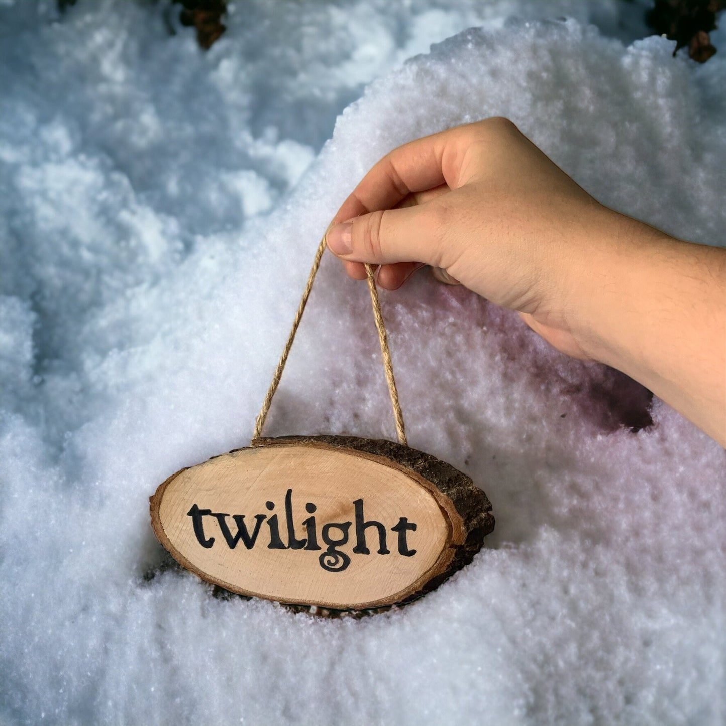 Twilight Logo wall hanging